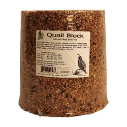 Sahuaro Seed Bird Food Block 15 lb