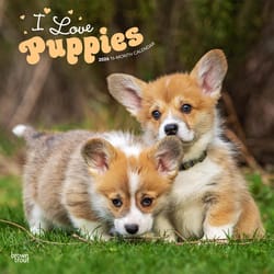BrownTrout Publishers I Love Puppies 2026 Calendar