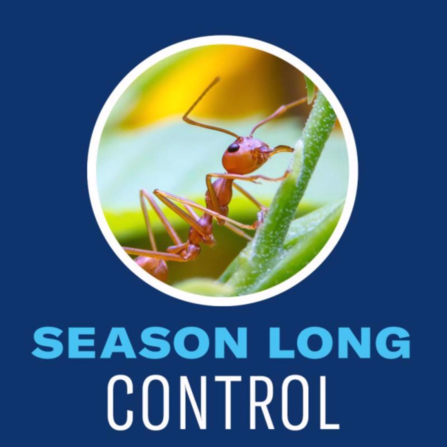 BioAdvanced Complete Brand Insect Killer - Thumbnail 2