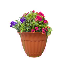 Misco Milano 4.56 in. H X 6 in. D Plastic Planter Clay