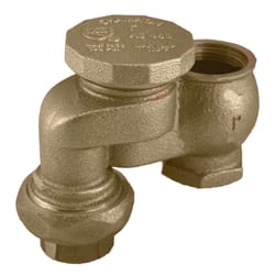 Champion Anti-Siphon Valve with Union 3/4 in. 150 psi