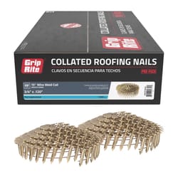 Grip-Rite 3/4 in. L X 11 Ga. Angled Coil Electro Galvanized Roofing Nails 15 deg 7200 pk
