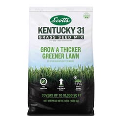 Scotts Kentucky 31 Full Sun Grass Seed Mix 40 lb