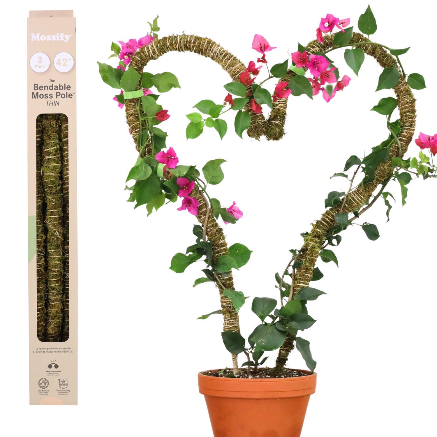 Mossify Bendable Moss Pole 42 in. H Green Moss Pole