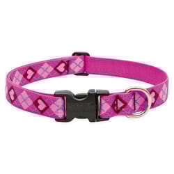 LupinePet Original Designs Multicolor Puppy Love Nylon Dog Adjustable Collar