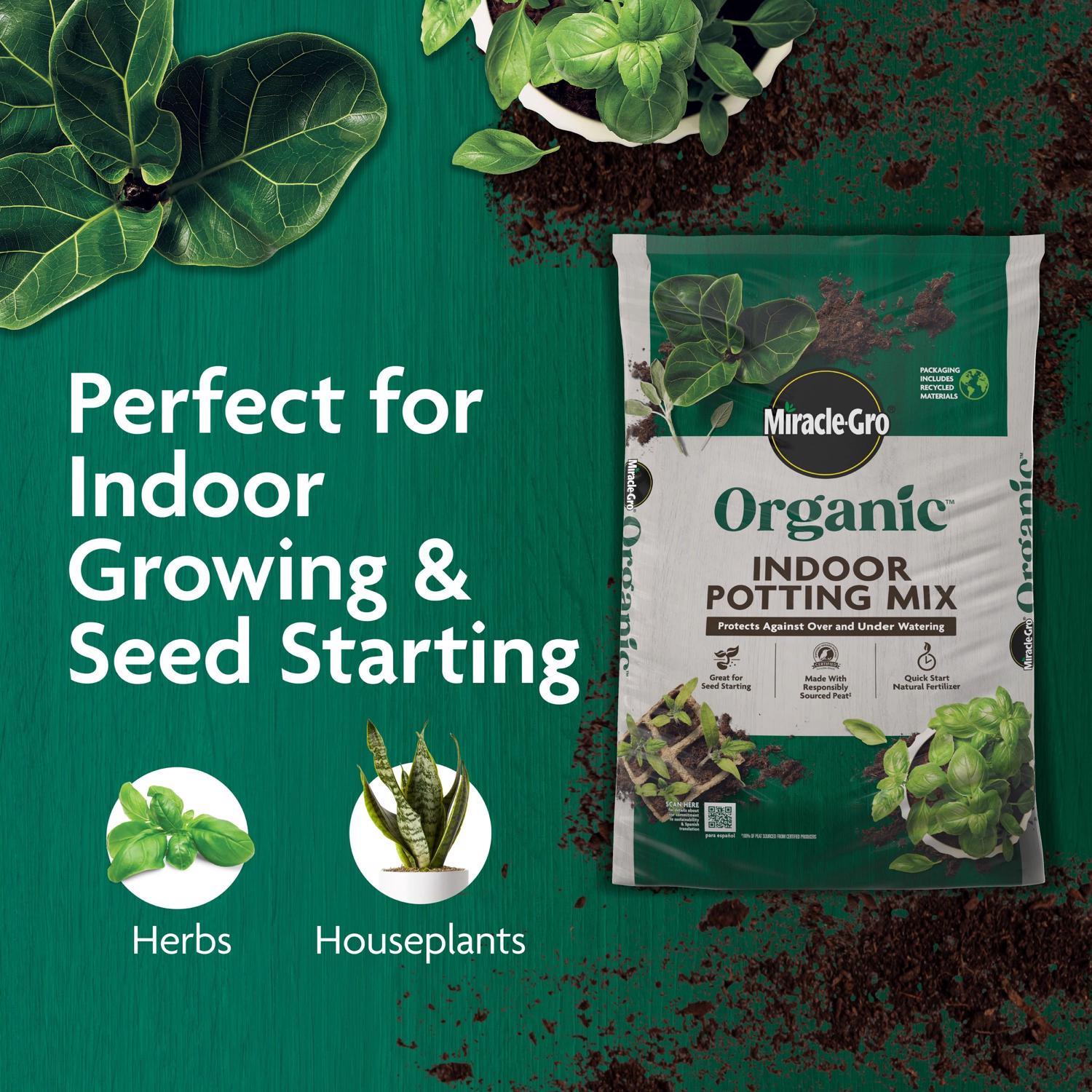 best soil for fiddle leaf fig Fast Draining Soil for Fiddle Leaf Figs main image 0