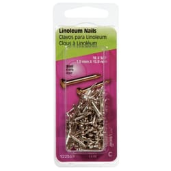 HILLMAN Anchor Wire 5/8 in. Binding Nickel Steel Nail Flat Head