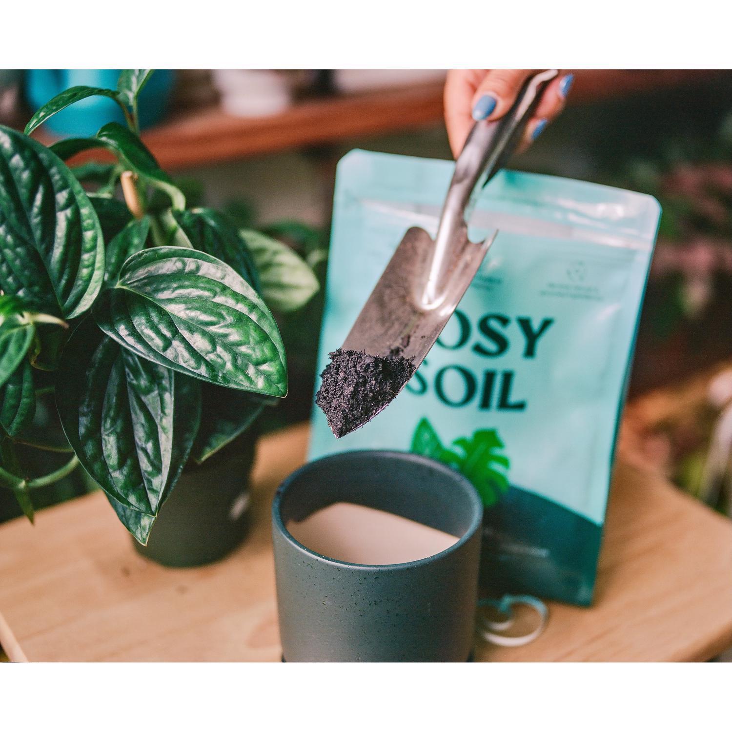 Rosy Soil Organic Indoor Plant Potting Soil - Thumbnail 4