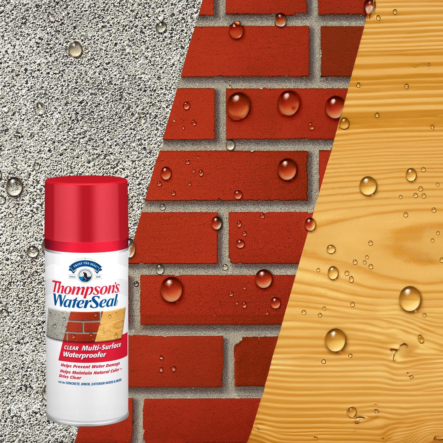 Thompson's WaterSeal Clear Water-Based Multi-Surface Waterproofer