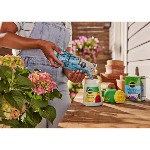 Miracle-Gro Miracid Powder Plant Food 1 lb Mfr# 3750011 - Ace Hardware