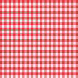 Magic Cover Red/White Checkered Vinyl Disposable Tablecloth 54 in. 54 in.