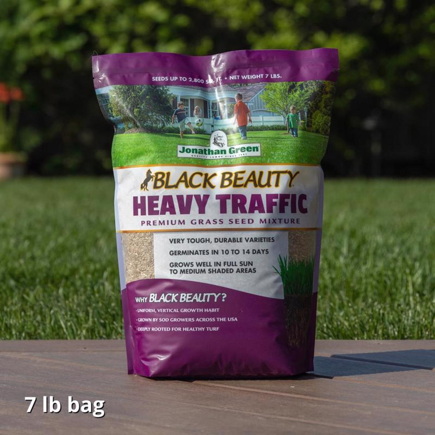 Jonathan Green Black Beauty Heavy Traffic Grass Seed - Thumbnail 4