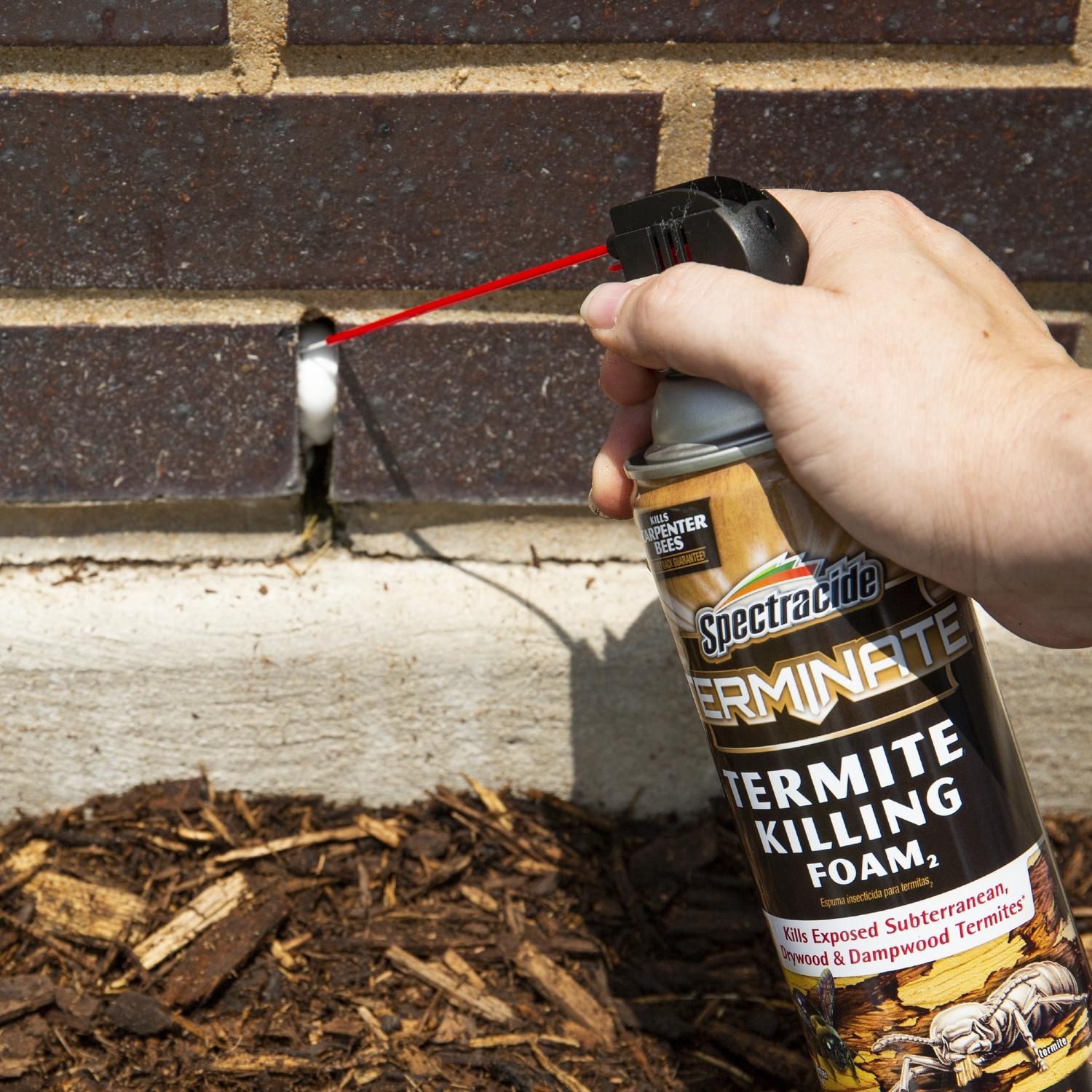 Spectracide Termite Killing Foam - Thumbnail 5