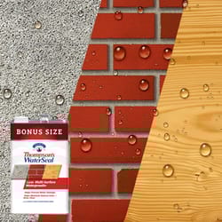 Thompson's WaterSeal Flat Clear Fully-Transparent Multi-Surface Waterproofer 1.2 gal