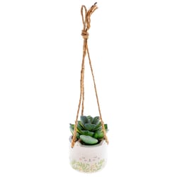 Karma 2 in. H X 2 in. L Multicolored Ceramic Hanging Succulent Pot