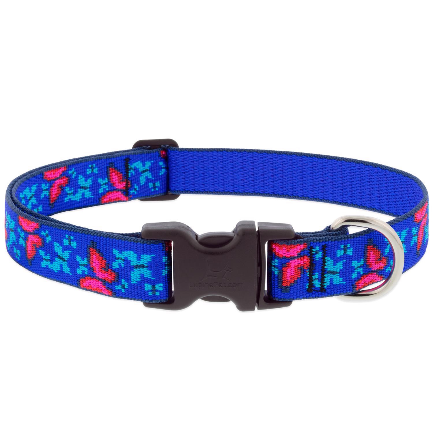 Photos - Leash LupinePet Blue/Pink Social Butterfly Nylon Dog Adjustable Collar Medium 54052