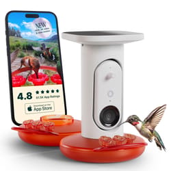 Bird Buddy Hummingbird 1.75 cups Plastic With Extra Base Smart-Enabled Smart Solar Camera Bird Feede