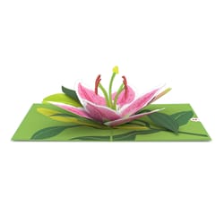 Lovepop Lily Bloom 3D Card Paper 1 pk