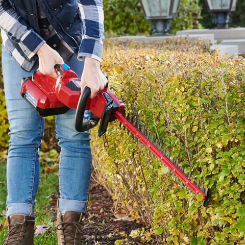 Toro Flex Force 51841 24 in. 60 V Battery Hedge Trimmer Kit