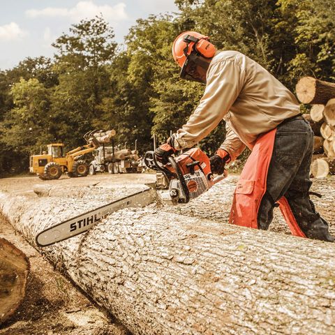 STIHL Magnum MS 661 C-M 20 in. 91.1 cc Gas Chainsaw Mfr