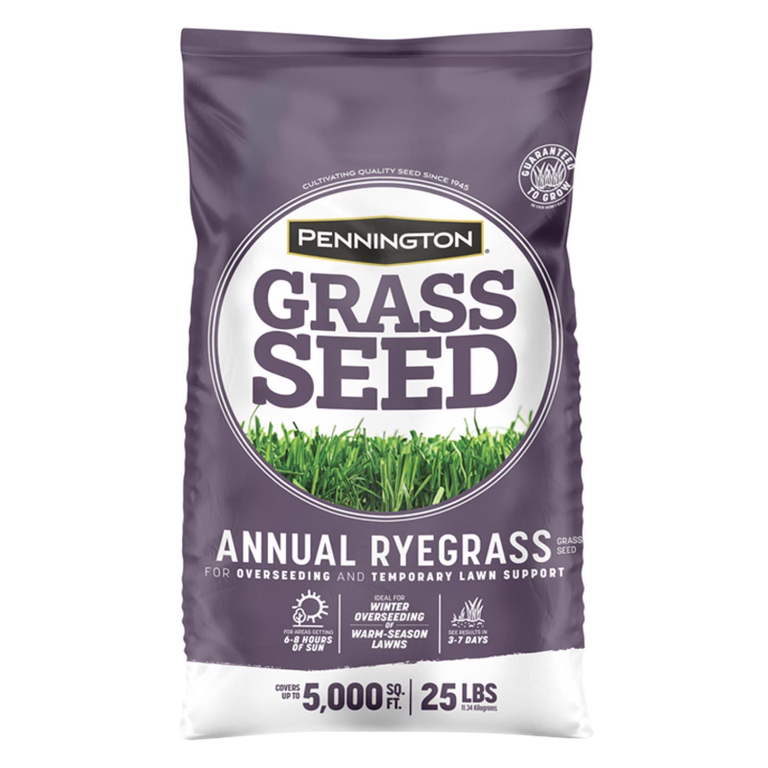 Pennington Annual Ryegrass Sun or Shade Grass Seed 25 lb Mfr