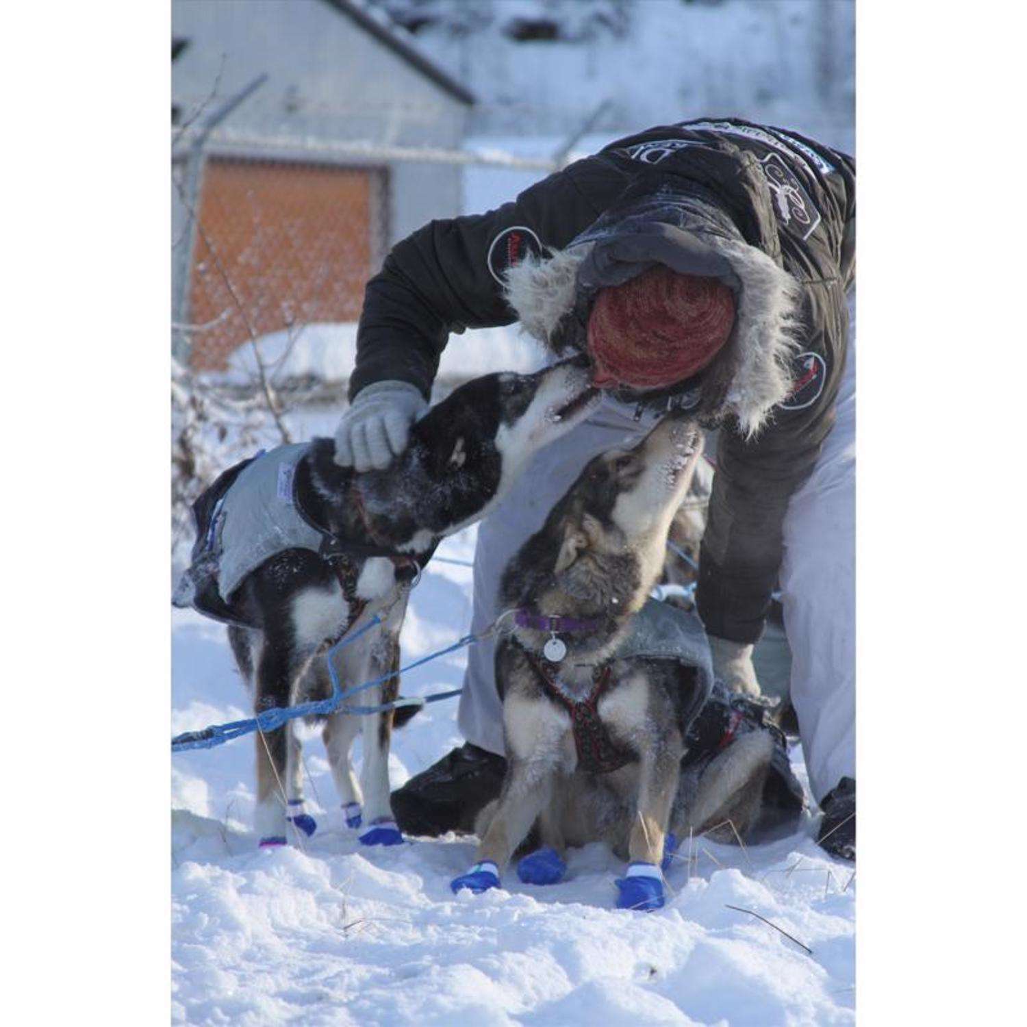 image-6