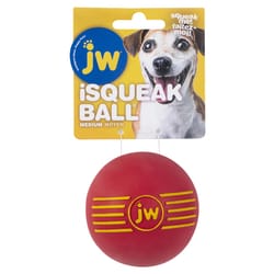 JW Pet iSqueak For Dog Assorted Rubber Ball Dog Toy Medium