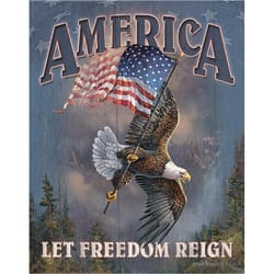 Desperate Enterprises 16 in. L Multicolored Tin America - Let Freedom Reign Wall Decor Sign