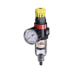 Tru-Flate Plastic Filter and Regulator with Gauge 1/4 in. NPT 150 psi 1 pc