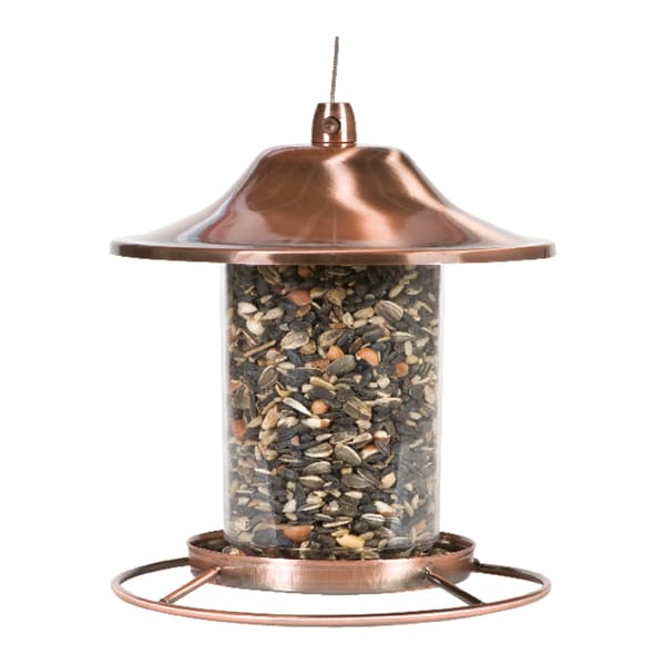 Hanging bird feeder