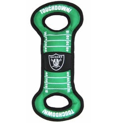 Pets First NFL For Dog Green Nylon Oakland Raiders Dog Tug Toy 1 pk