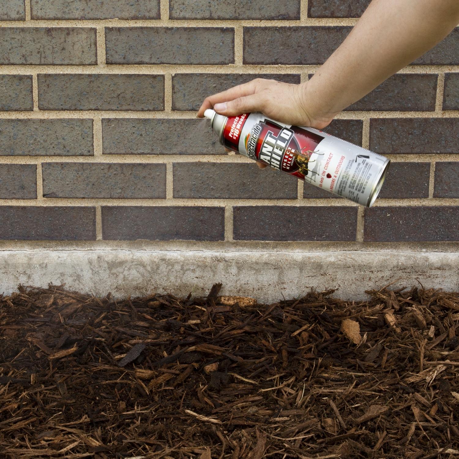 Spectracide Ant Shield Aerosol Insect Killer - Thumbnail 5