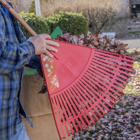 Ace 65 in. 26 Tine Poly Leaf Rake Wood Handle Mfr# EP-26-ACE - Ace