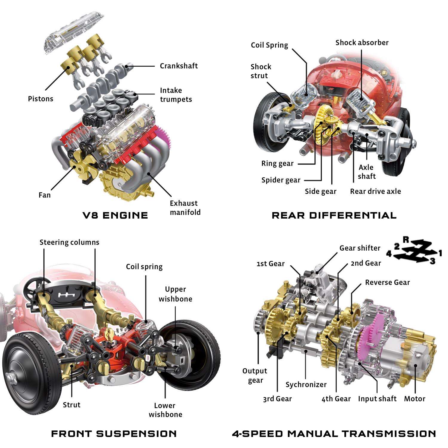 image-5