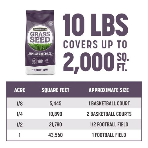 Pennington Annual Ryegrass Sun or Shade Grass Seed 10 lb Mfr
