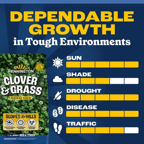 Pennington Smart Seed Clover Grass Mix Full Sun/Light Shade Grass