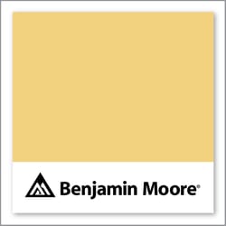 Benjamin Moore Broadway Lights 298