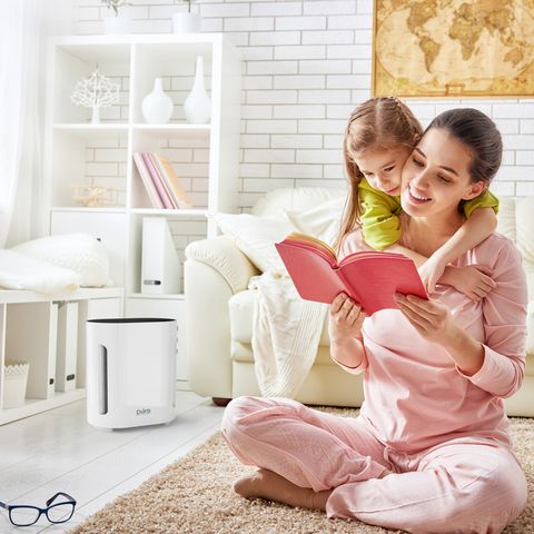 Pure Enrichment HEPA Air Purifier 200 sq ft Mfr# PEAIRPLG - Ace