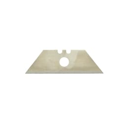 Ace Carbon Steel Replacement Blade 10 pk