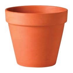 Deroma 2.5 in. H X 3.5 in. W X 2.4 in. D X 3.5 in. D Terracotta Cylinder Planter Clay