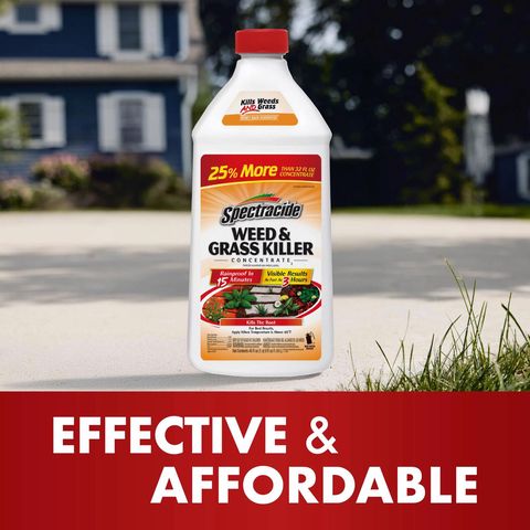 Spectracide Weed and Grass Killer Concentrate 40 oz Mfr# HG-56009