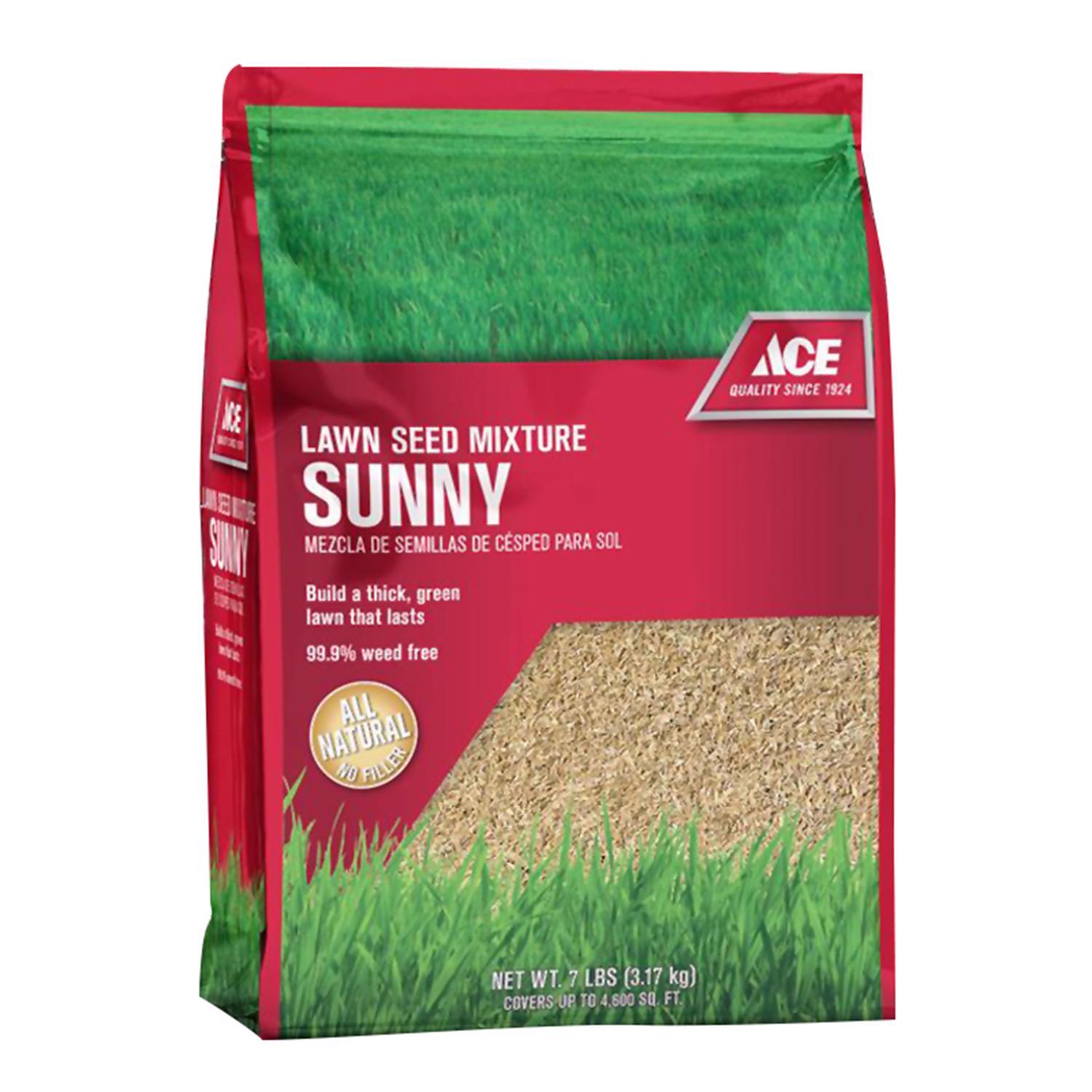 Ace Grass Seed