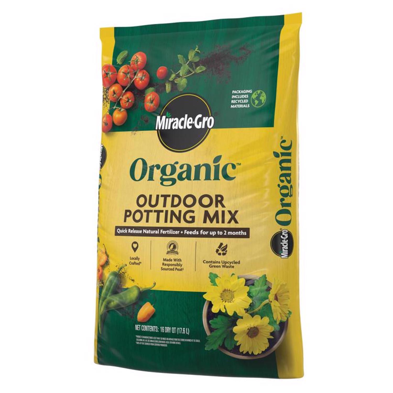 【miracle】 Amazon.com : Miracle-Gro African Violet Potting Mix, 8 qt. : Soil