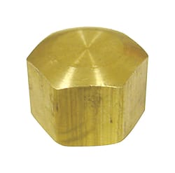 JMF Company 5/16 in. Compression Brass Cap