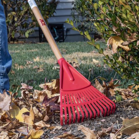Ace 54.5 in. 14 Tine Poly Rake Wood Handle Mfr# EP-15-ACE - Ace