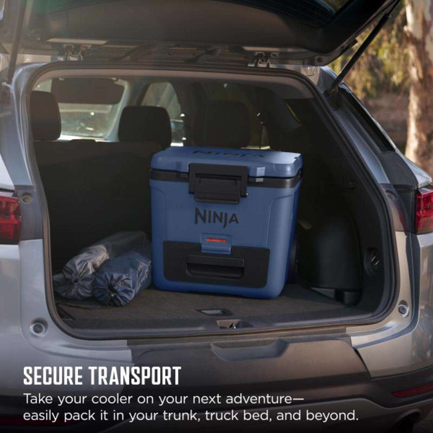 image-30