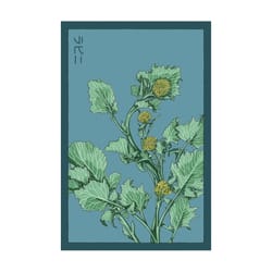 Chive Shido Seed Co. Rapini Seeds 1 pk