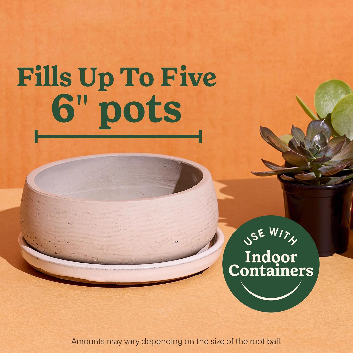 Miracle-Gro Cacti, Citrus and Palm Potting Mix 8 qt Mfr# 73078431 - Ace  Hardware