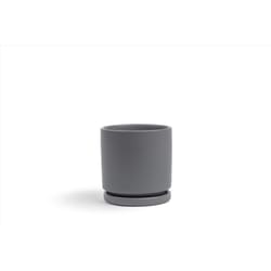 Momma Pots Gemstone Cylinder 4.5 in. W Porcelain Planter Granite