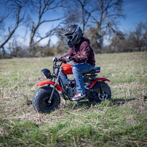 EVISU MINIエヴィス ミニ　キッズ大黒 ビッグカモメ M 120 レッド Viper Unisex Mini Bike Red Mfr# VM200 - Ace Hardware
